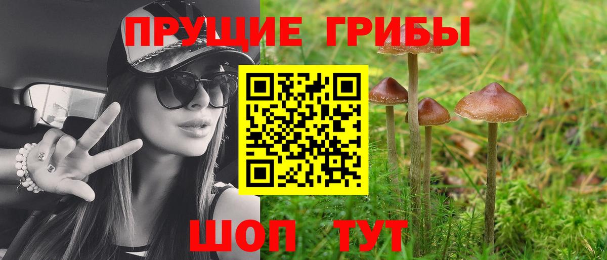 Галлюциногенные грибы мухоморы  Псилоцибиновые грибы Psilocybine cubensis  Гай  Вход с VPN 