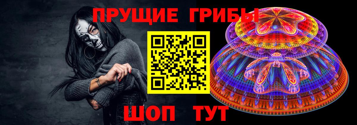 Галлюциногенные грибы Psilocybe Гай